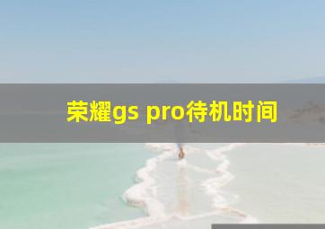 荣耀gs pro待机时间